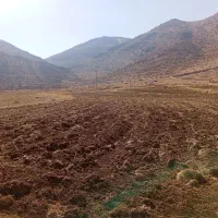 ملک