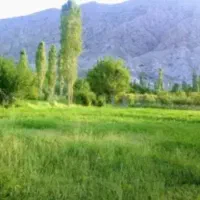 تور یکروزه ویژه بانوان