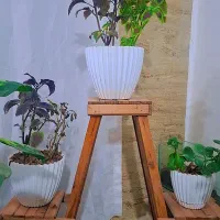 استند گل