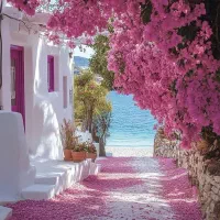 با جت ، کالا پی