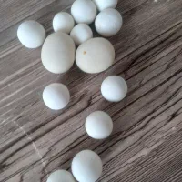 سنگ