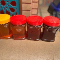فروش ویژه عسل درجه یک کوهی و ژل رویال اصلی