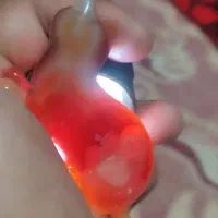 گربه عقیق کمیاب چند شکل از هر زاویه نشون میده
