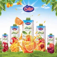 استخدام ویزیتور در بجنورد