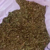 آویشن محلی تازه