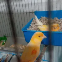 7تا