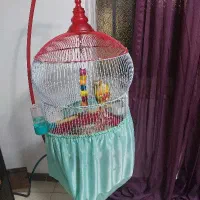 گرینچیک رد فاکتور .رام و سخنگو .