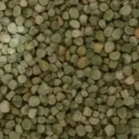 بذرنخود پفکی