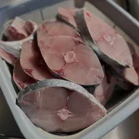 فروش ویژه ماهی شیر
