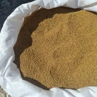 بذر یونجه|گل و گیاه طبیعی|ساوه, |دیوار