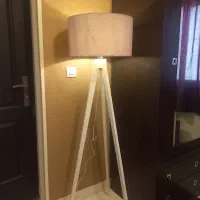 آپاژور ایستاده (یاسی)