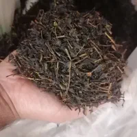 چای‌ بهاره کوهپایه املش 1405