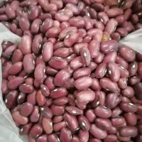 لوبیا قرمز