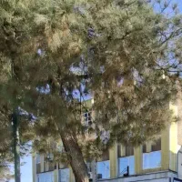 آپارتمان مسکونی برخیابان سنجابی (فروش فوری)