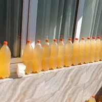 آبغوره ترش و تازه امسالی. طبیعی است و خالص