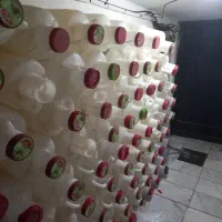 دب خیارشور