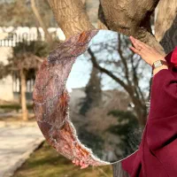 آینه دکوراتیو طرح سنگ جاسپر.چشم ببر.هلال