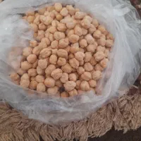 نخود درجه یک امسال