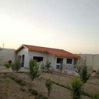 داربست، آلاچیق، سایبان، شیروانی داربست مو