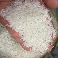 برنج تایلندی/بار جدید عالی/کالا برگ