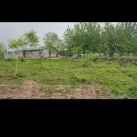 زمین-باغی