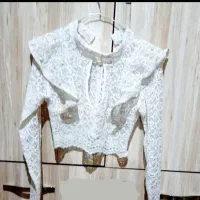 نیم تنه مجلسی
