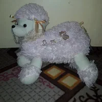 بره بزرگ دخترونه