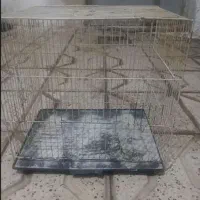 قفس بزرگ سالم