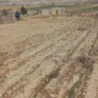 زمین مخصوص کشاورزی