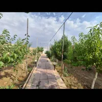 اجاره-روزانه-باغ-ویلا
