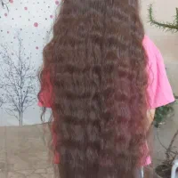قشنگای فرفری