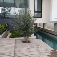 اجاره باغ سالن استخر ویژه جشن مراسم کردان زعفرانیه