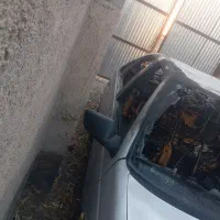 پژو 405 داخلش سوخته