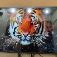 فروش ال ای دی 32 اینچ کونکا