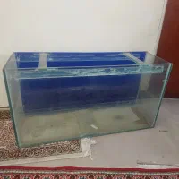 اکواریوم سایز یک متر در سی سانتی متر