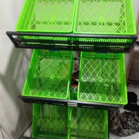 استند میوه شش سبده