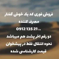 فروش کد یک خوش گفتار