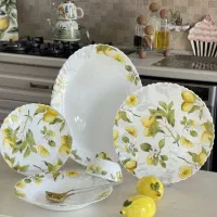 انواع سرویس‌ های ارکوپال ۶ نفره ۲۵ پارچه مقصود