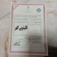 کارخانه قالیشویی فلاح مبل شویی مجاز کلهر متری 100