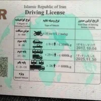 راننده پایه دوهستم