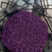 گل رز ربانی
