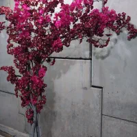 درختچه شکوفه ، درختچه مصنوعی
