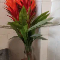 گل خوشگل با گلدان