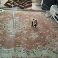 پارک سگ|لوازم جانبی حیوانات|تهران, خانی آباد نو جنوبی|دیوار