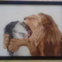 تابلو بسیار زیبا