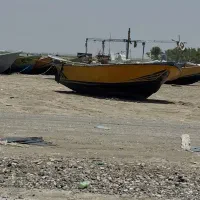قالب 85 فروشی