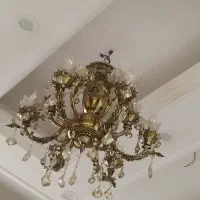 یک عددلوستر برنجی در حد نو