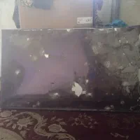 تلوزیون ال جی 55 اینج