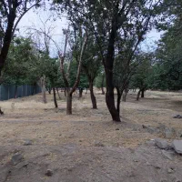 چند قطعه زمین و باغ