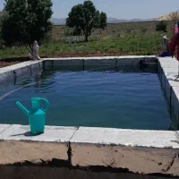فروش-باغ